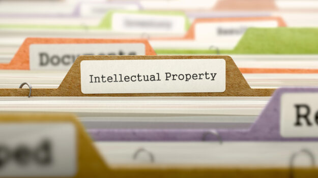 Intellectual Property Basics for Businesses Intellectual Property Basics for Businesses